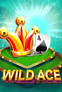 wild ace slot games